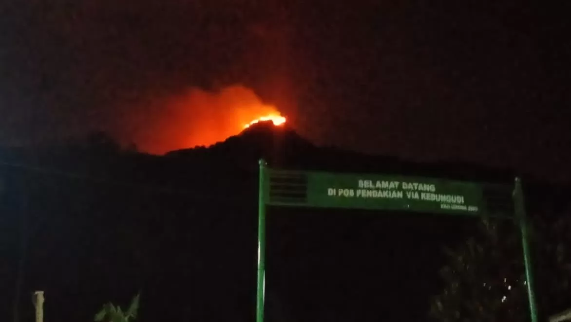 Gunung Penanggungan Di Mojokerto Membara, Ratusan Personel Gabungan ...