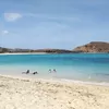 Menikmati Panorama Pantai Tanjung Aan dari Bukit Merese, Pilihan Wisata Favorit di Lombok