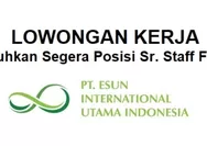 Lowongan Kerja Dibutuhkan Segera untuk Posisi Sr. Staff Finance di PT Esun International Utama Indonesia Batam