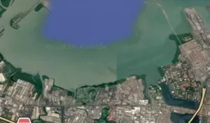 7 Km Pesisir Surabaya Gundul, 1 Juta Mangrove Dibutuhkan untuk Menahan Abrasi