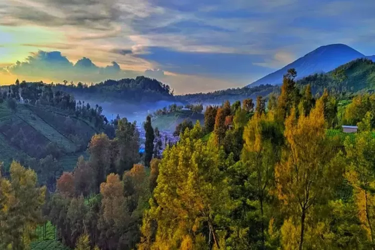 Keindahan Desa Ranu Pani Gunung Semeru Yang Menawan Desa Tertinggi Di Pulau Jawa Dengan 3 Danau 0581