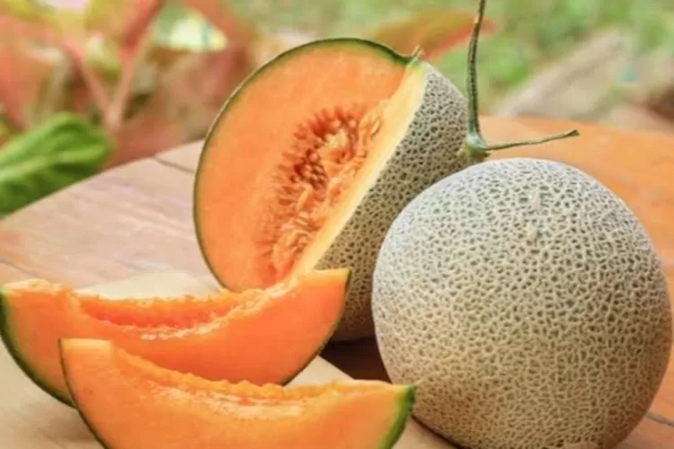 Yuk Simak! Manfaat Buah Melon untuk Ibu Hamil Ternyata Banyak, Lho! -  Bintara