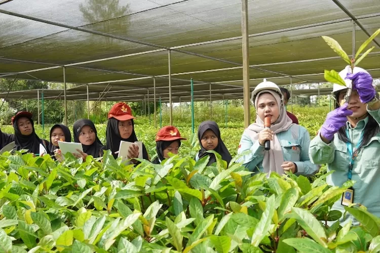 Siswa SDN 279 Rante Angin melakukan kunjungan di Taman Kehati Sawerigading Wallacea. (Ist)