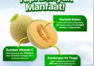Ternyata Berbuka dengan Buah Melon Membantu Menghidrasi Tubuh Setelah Seharian Berpuasa