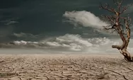 Ancaman Musim Kemarau 2026 Menghantui di Tengah Potensi El Nino, Bagaimana Antisipasi Pemerintah Indonesia ?