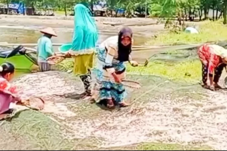 Keluarga nelayan tengah sibuk menjemur ebi basah untuk dipasarkan (ft.rudy)