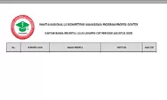PDF Pengumuman UKMPPD Periode Agustus 2023, Download Hasil CBT dan OSCE pnukmppd.kemdikbud.go.id