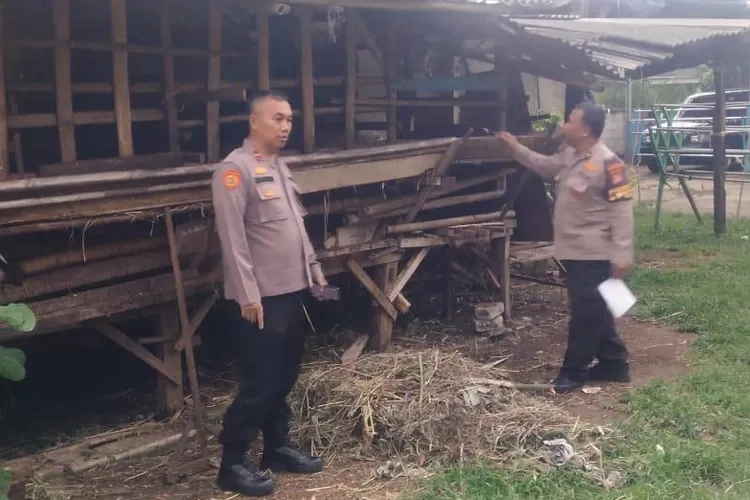 SAMBANGI : Polisi olah TKP ke rumah delapan ekor kambing yang dibegal milik Edi Santoso, di Kampung Pengasinan RT4/1, Kelurahan Pengasinan, Sawangan, Depok, Kamis (17/7) Siang. (RISKY DWI LESTARI/RADAR DEPOK)