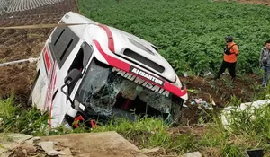 Nahas! Minibus Rombongan Wisatawan dari Jakarta Menuju Dieng Kecelakaan, Terguling di Tanjakan Banjarnegara, 7 Orang Luka Berat