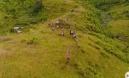 Keindahan Alam Bang Abak: Harmoni Eksotis di Malinau Barat, Kalimantan Utara
