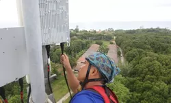 XLSMART Catat Pertumbuhan Double Digit pada Q3 2025 Berkat Integrasi Pasca Merger