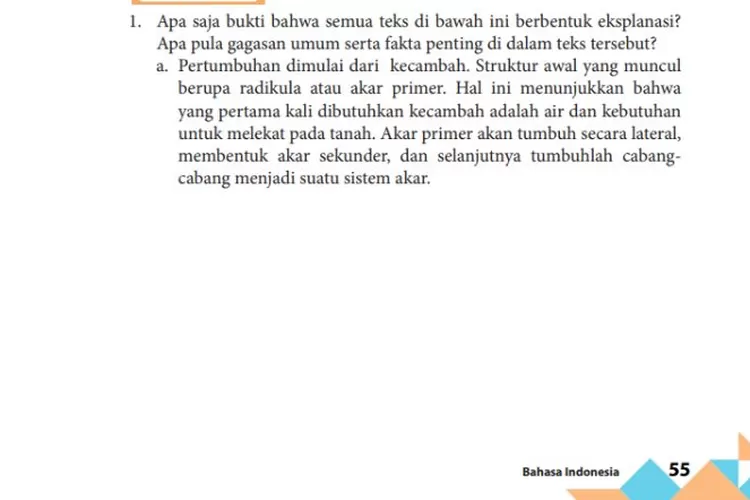 Tangkapan layar buku Bahasa Indonesia K13 kelas 11 bab 2 halaman 55 56.