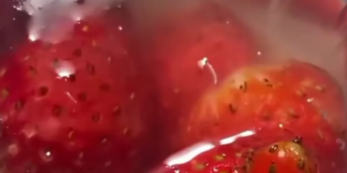 Viral puding stroberi menu MBG di Lowokwaru, Kota Malang ditemukan belatung hidup. (Instagram/info_malang)