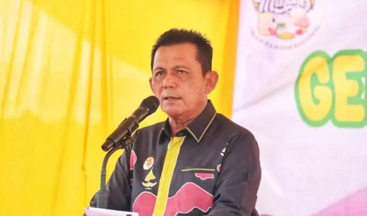 Gubernur Kepri Ansar Ahmad.