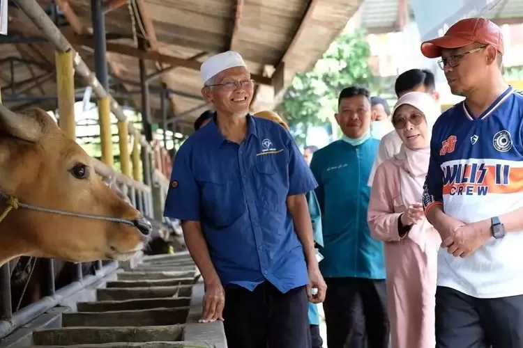 Wakil Walikota Depok, Imam Budi Hartono atau IBH melakukan inspeksi mendadak (sidak) ke lapak pegadang hewan kurban Lembu Mulyo di Kecamatan Tapos. (PEMKOT DEPOK)