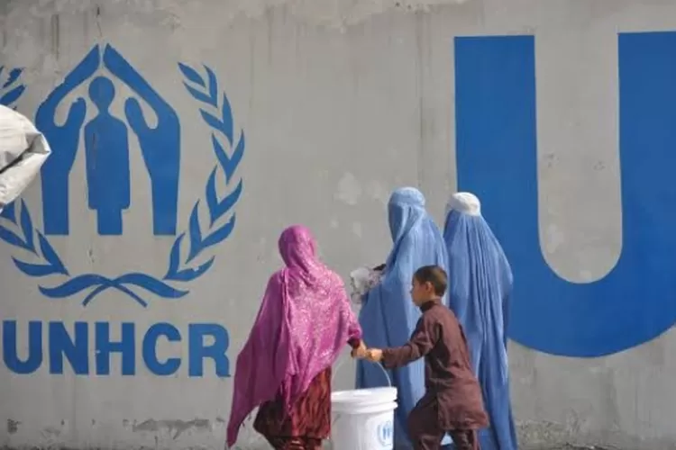 UNHCR sebut Pakistan telah mengusir 8.000 warga Afghanistan yang tak memiliki dokumen resmi dalam minggu ini