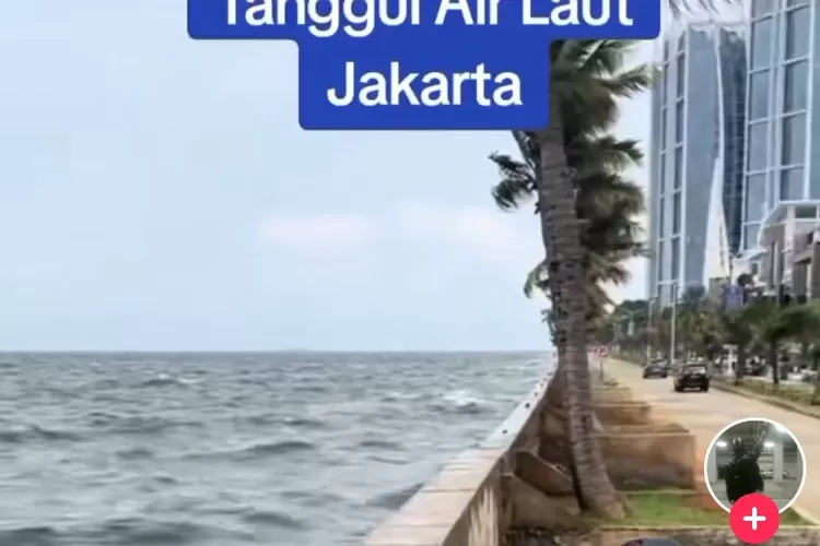 Tanggul air laut Jakarta jadi sorotan netizen, warganet singgung soal jebol (Tangkapan layar Tiktok K.R4YSH4)