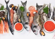 Jaga Imunitas dan Kesehatan Organ Pernapasanmu, Konsumsi 5 Jenis Ikan Paling Tinggi Kandungan Lemak dan  Vitamin D Ini