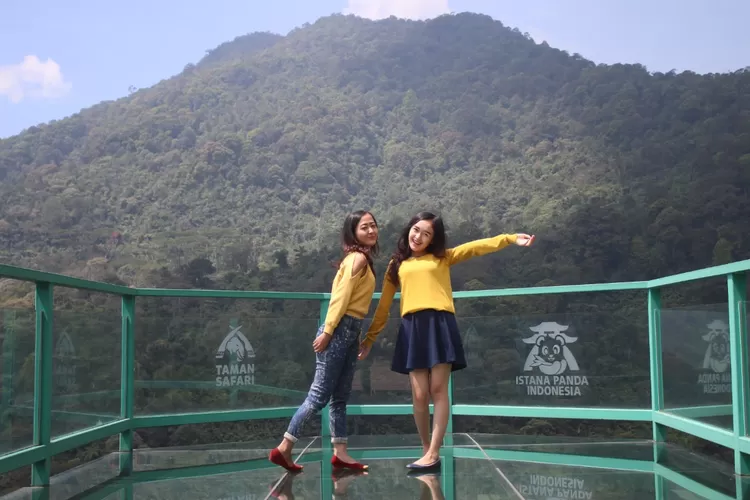 Sky Bridge Gunung Gede Pangrango, spot foto keren yang ada di Taman Safari Bogor.