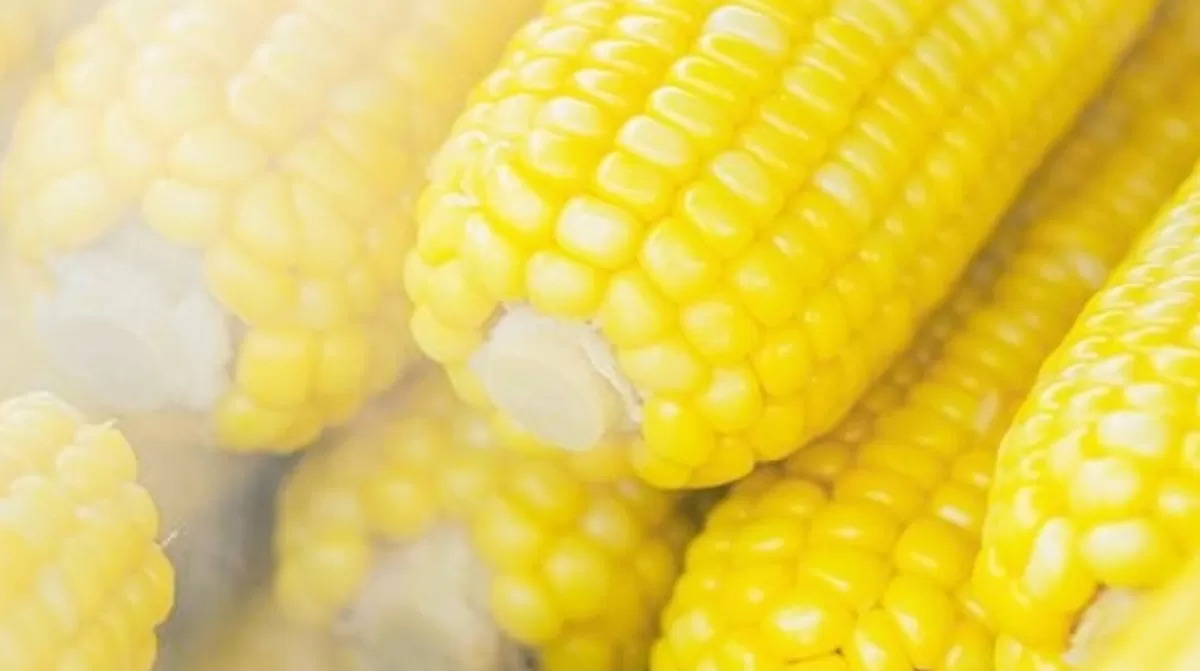Jagung Rebus (Foto:Pexels.com)