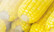 Agar Tetap Awet, Ini Dia 7 Cara Menyimpan Jagung Rebus Agar Tetap Empuk dan Tidak Kering Berhari-Hari