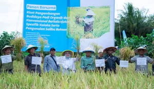 Dukung Program Ketahanan Pangan, PT Vale Panen Bersama Demplot Padi Berkelanjutan di Kolaka