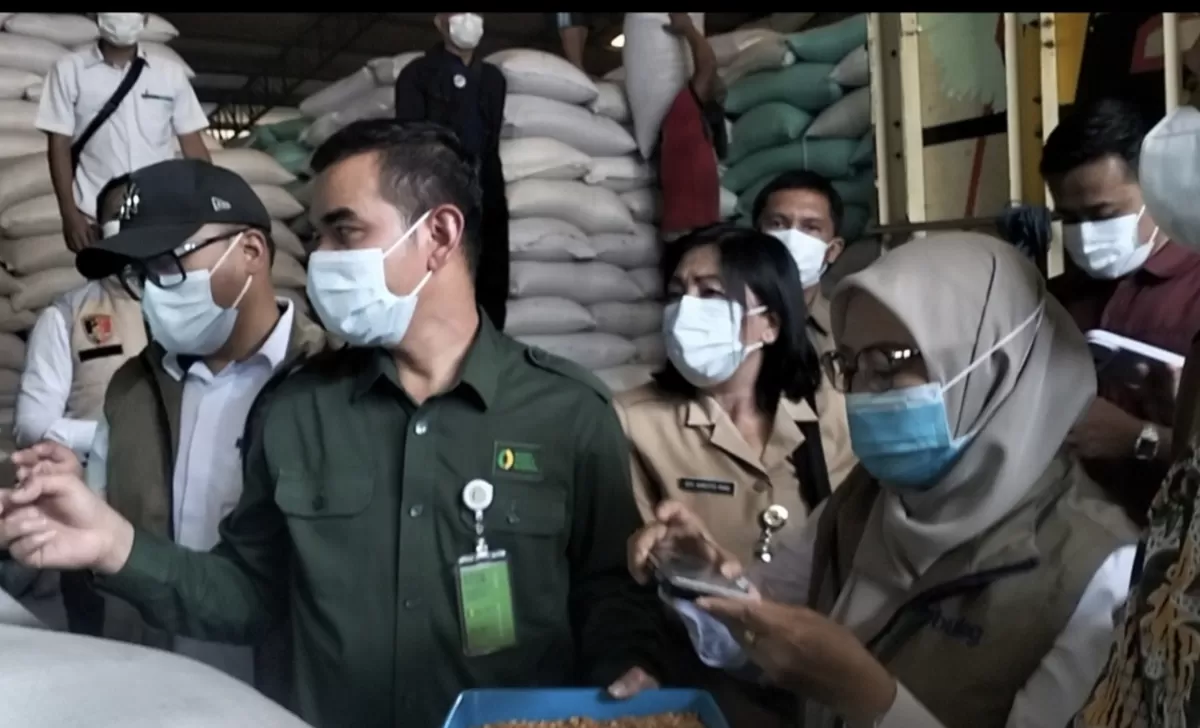Bapanas Bersama Bulog Semarang Mulai Distribusi Jagung SPHP untuk Peternak Ayam