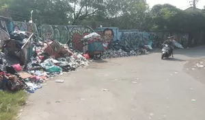 Siap-siap! DLHK Depok Sudah Janji Mau Segel 112 TPS Liar