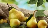 Khasiat Buah Pir Bisa Mengembalikan Cairan Tubuh yang Hilang Selama Berpuasa