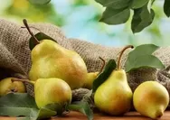 Khasiat Buah Pir Bisa Mengembalikan Cairan Tubuh yang Hilang Selama Berpuasa
