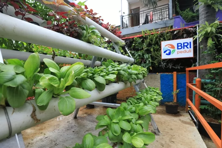 Kampung Palm Eco Green Village (Dok BRI)