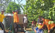 Kemarau Mulai Melanda, Dua Dusun di Patean Mulai Kesulitan Air Bersih