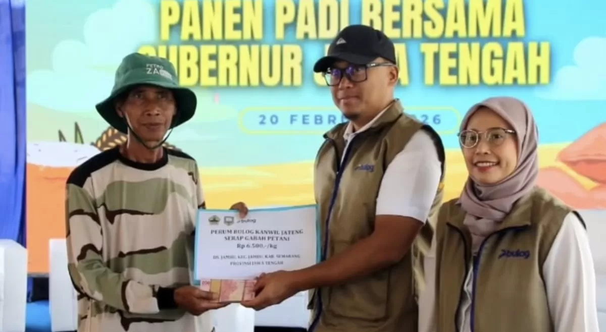 Serapan Gabah Bulog Jawa Tengah Januari-Februari 2026 Tembus 100 Persen