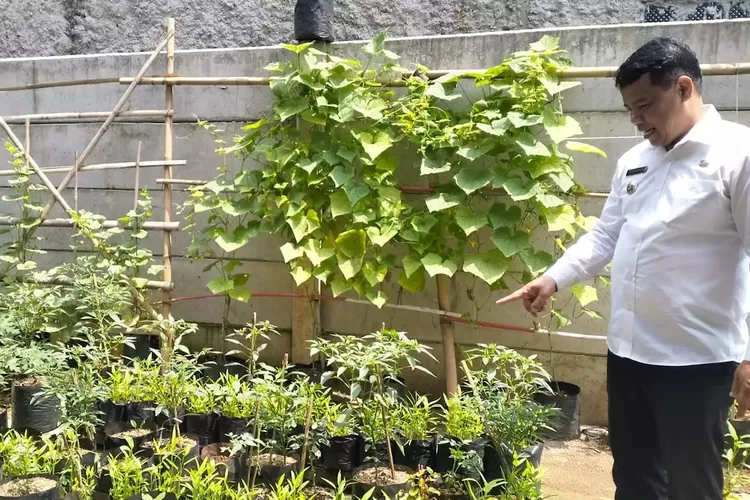 Lurah Bojong Pondok Terong, Adi Supriadi memperlihatkan pekarangan kantor yang ditamani berbagai tumbuhan yang bisa bermanfaat.