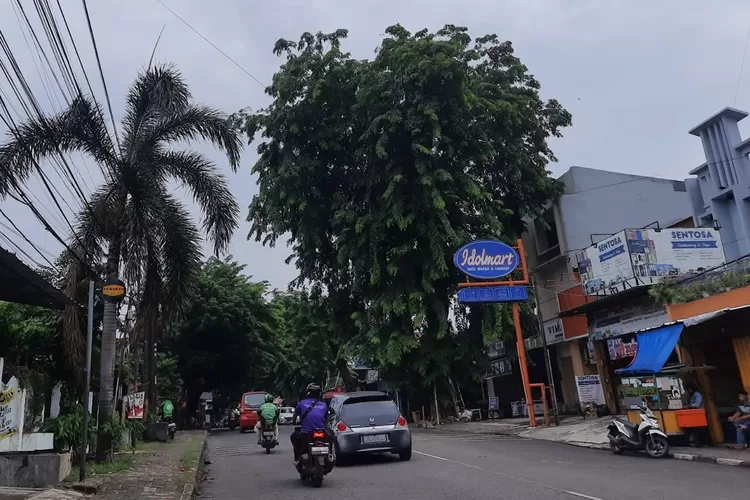 Banyaknya pohon besar yang masih belum ditebang berada di Jalan Sentosa Raya Kelurahan Mekarjaya, Kecamatan Sukmajaya, Depok, mengancam keselamatan pengendara (Radar Depok)