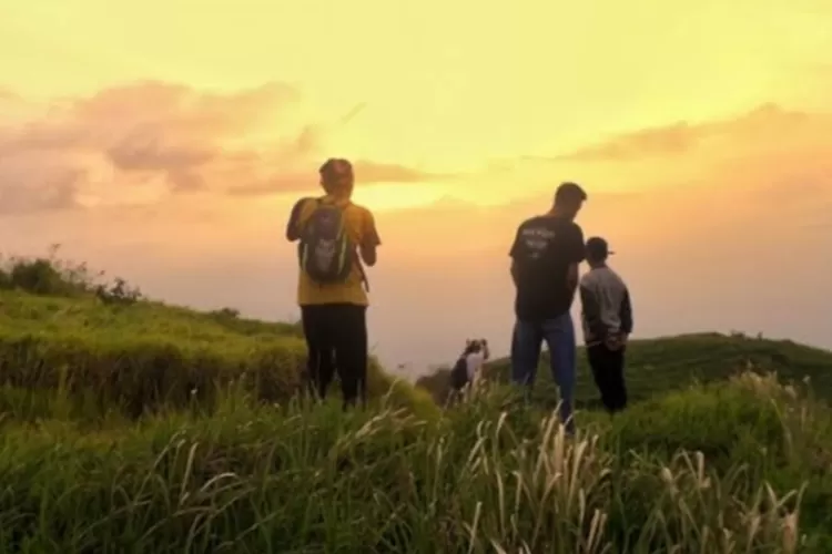 Menikmati Keunikan Sabana Nan Luas Di Gunung Pangradinan Cikancung ...