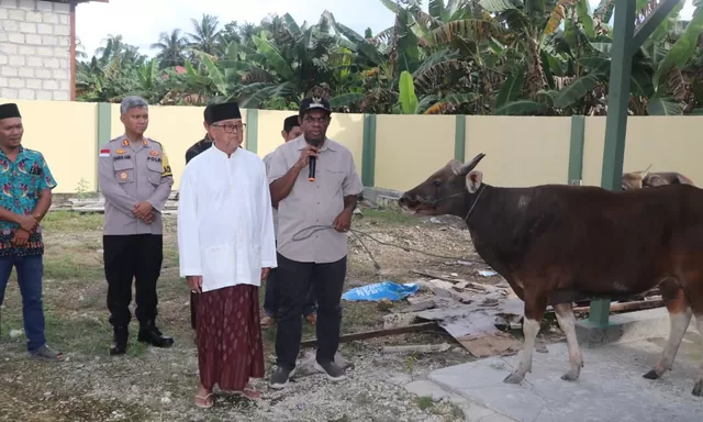 Jelang Iduladha 1445, Bupati Keerom Serahkan Bantuan Hewan Kurban