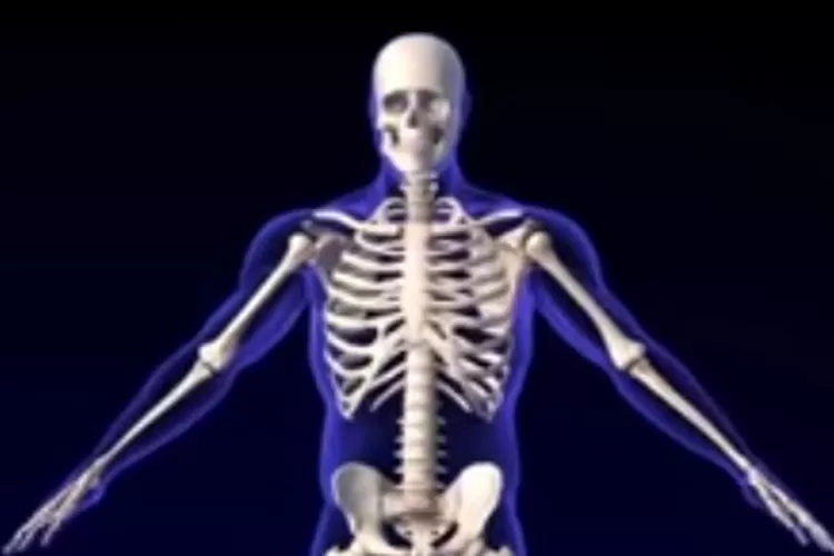 Ilustrasi osteoporosis (Tangkap Layar Channel YouTube Kang Kombor)