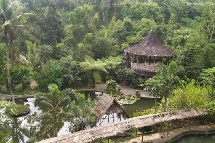 Desa Wisata Pentingsari, Yogyakarta (visiting jogja)