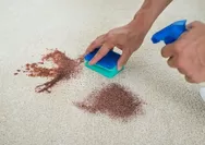 Tenang Bunda, Begini Cara Mudah Membersihkan Noda Kopi di Karpet, Dijamin Kinclong Lagi