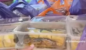 Viral Menu MBG di SMA Negeri 2 Pamekasan Berisi Lele Mentah Hingga Klaim Masih Hidup, Sekolah Tolak Paket Makanan