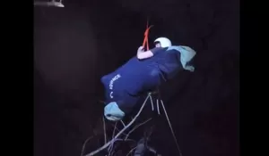 Paraglider Rusia Tersangkut di Pohon Pinus di Batu, Tim SAR Evakuasi Selama Dua Jam
