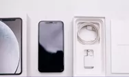 Terlanjur Beli iPhone 16 di Indonesia? Simak Dampak dan Solusinya