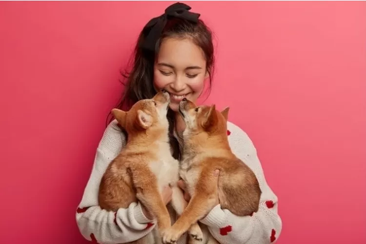 Ilustrasi. Para animal communicator membantu pemilik hewan mengenal batin peliharaan mereka dan menjalin ikatan yang lebih dalam.