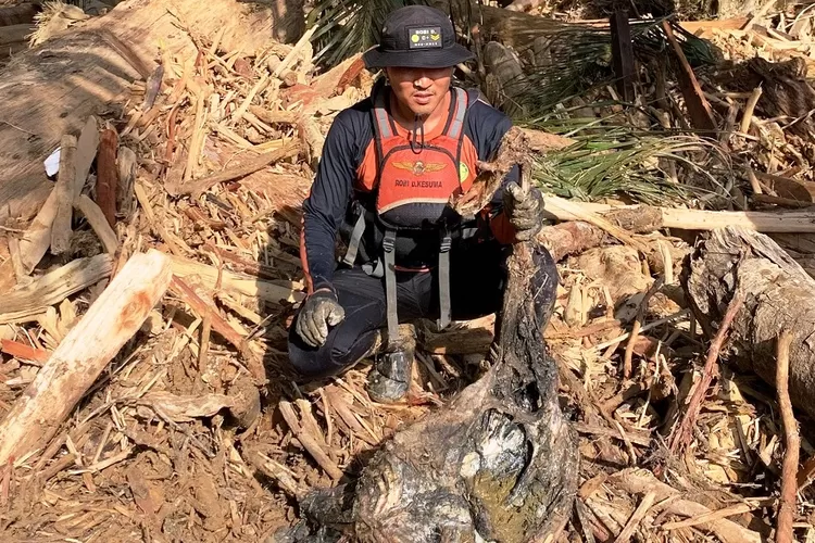 Satu bangkai orangutan ditemukan di wilayah Pulau Pakat, hilir Sungai Garoga, Kabupaten Tapanuli Selatan, Sumatera Utara, pasca banjir dan longsor yang melanda kawasan tersebut. (PANCA/METROPOLITAN)