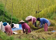RAPBN 2027: DPR RI Minta Indikator NTP dan NTN Dicantumkan Eksplisit, Menkeu Purbaya Beri Kepastian! Target Lapangan Kerja Baru Tembus 3,49 Juta