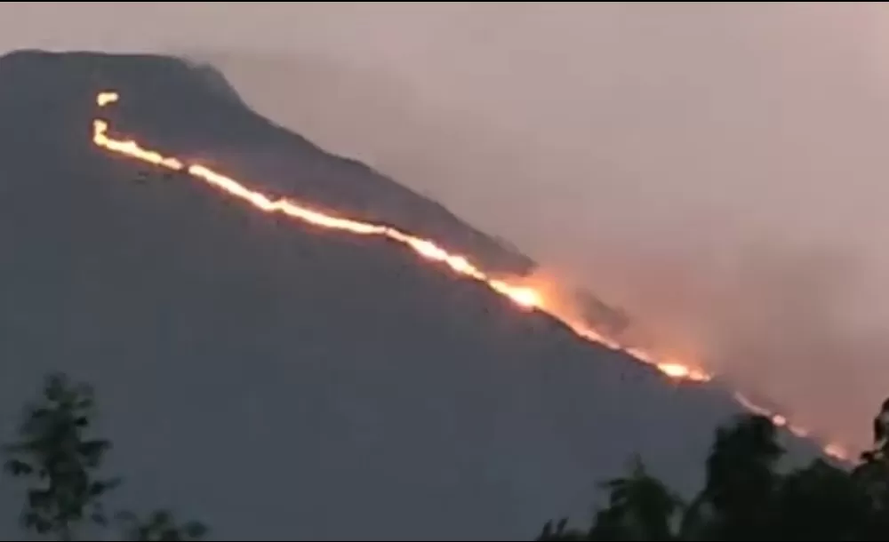 Lereng Gunung Penanggungan Terbakar, Kobaran Api Terlihat Hingga Di ...