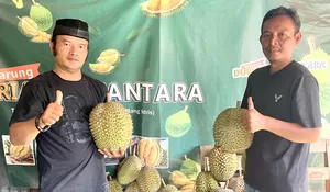 Longok Warung Durian Nusantara, Milik Idris Saputra : Sajikan Durian Langka, Dijajakan Dekat Salon Evvy Jalan Curug
