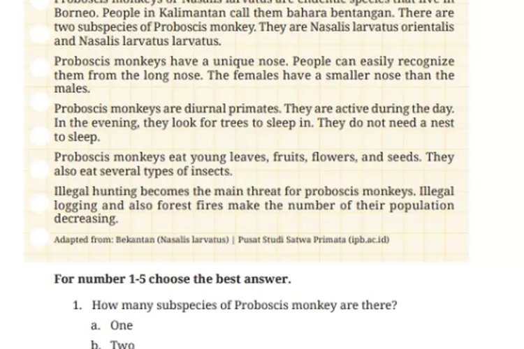 Kunci Jawaban Bahasa Inggris Kelas 9 Halaman 143 144 Kurikulum Merdeka ...