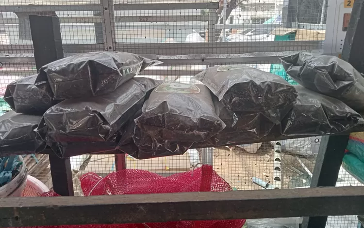 FOTO: Tampak pupuk organik hasil produksi dari TPS 3R Tamalanrea, Rabu, 9/9. (Dok.Metroselebes.com/Ade)
